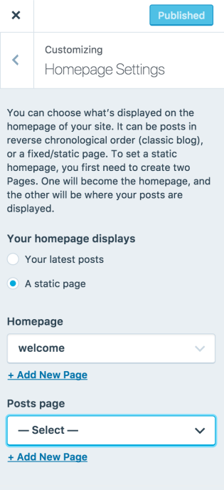 19 customizer homepage settings